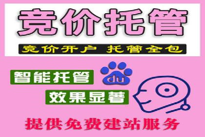 百度优化推广案例：案例分析及优化建议